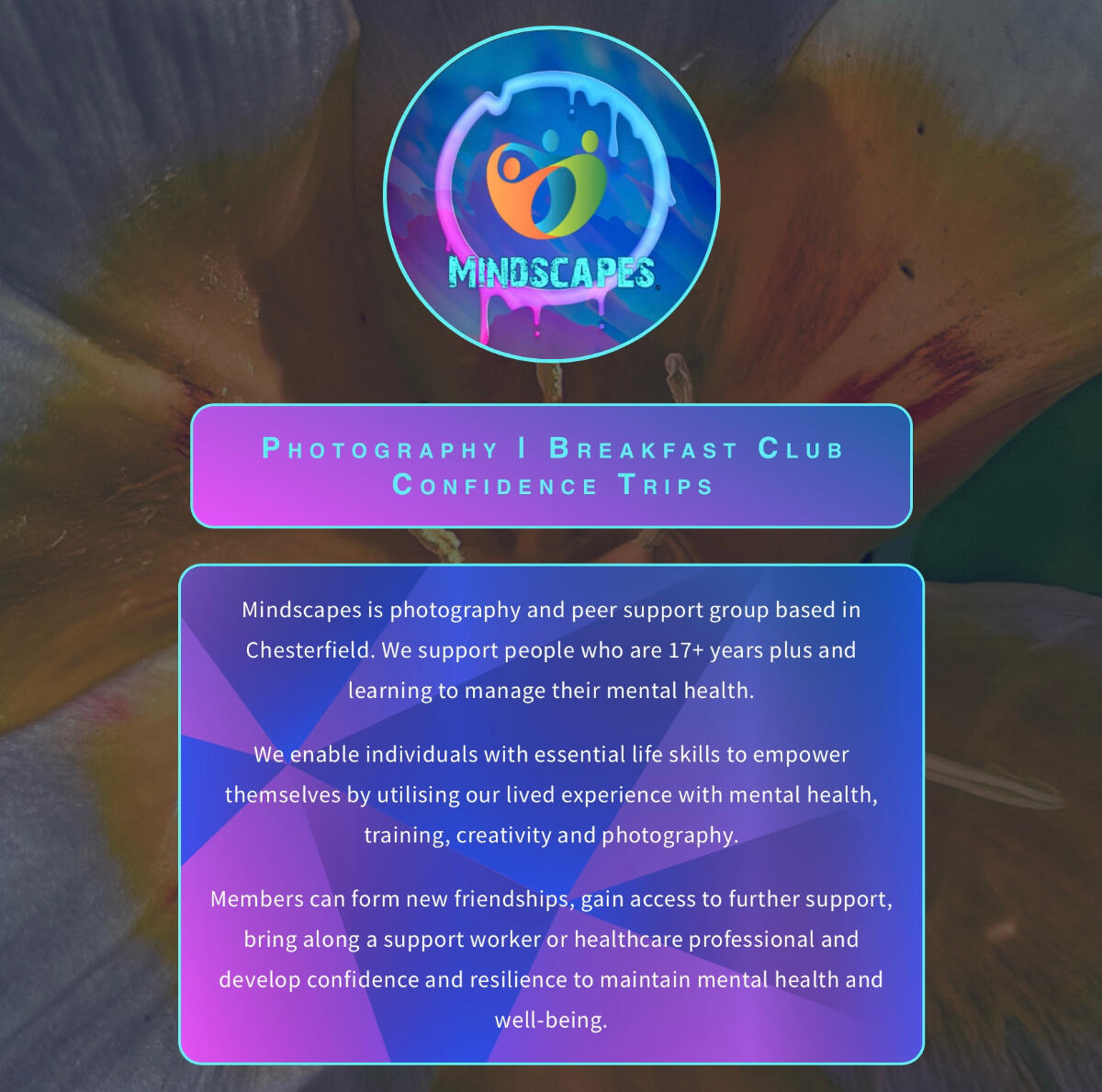 Mindscapes mindscapes